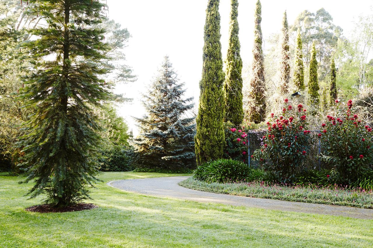 Beechmont Garden Retreat Olinda Exterior foto