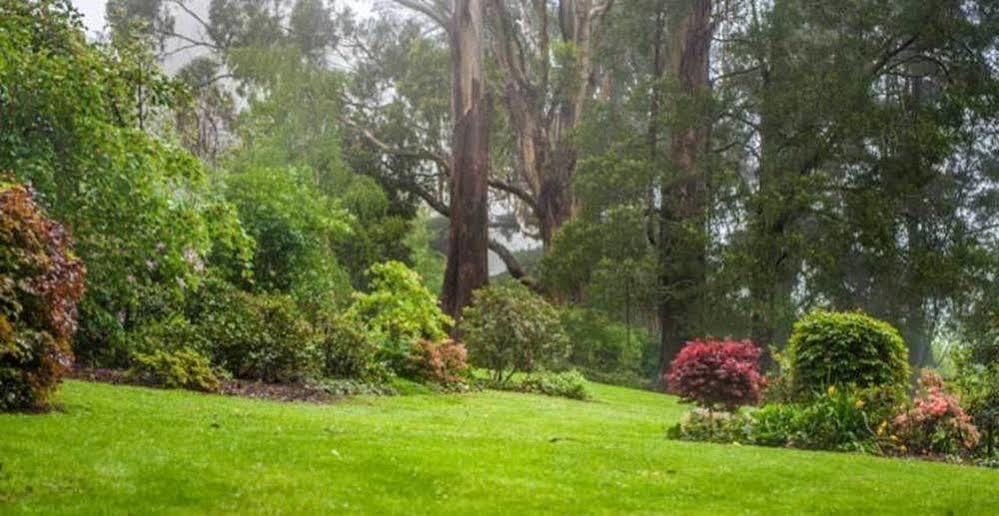 Beechmont Garden Retreat Olinda Exterior foto