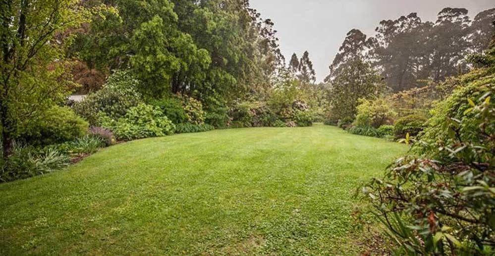 Beechmont Garden Retreat Olinda Exterior foto