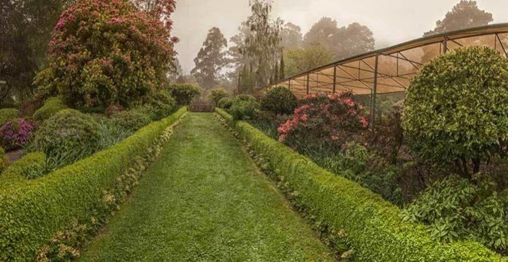 Beechmont Garden Retreat Olinda Exterior foto