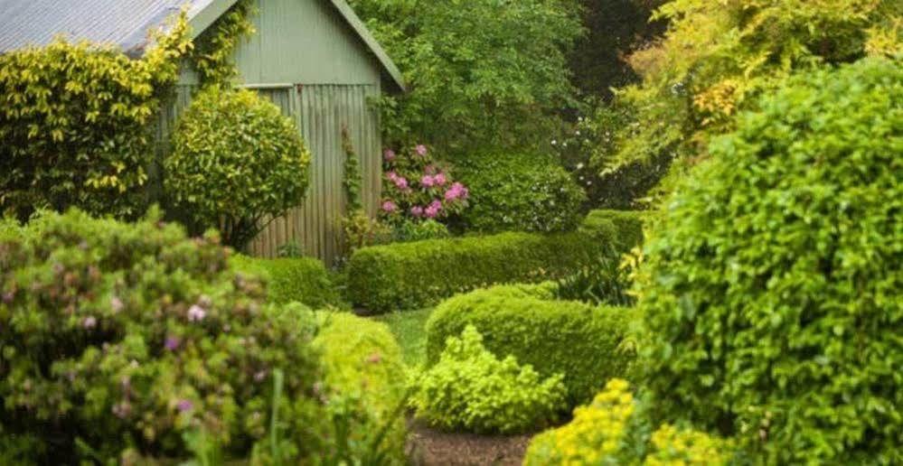 Beechmont Garden Retreat Olinda Exterior foto